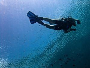 scuba diving helps us stay fit