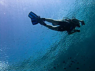 scuba diving helps us stay fit