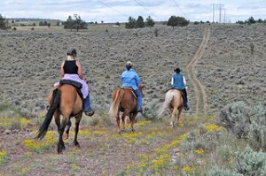 horse riding is a recreational way to stay fit