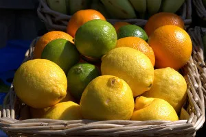 citrus fruit