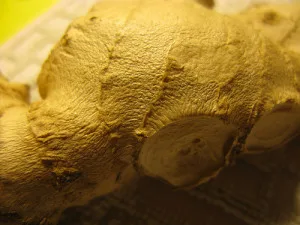 ginger